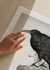 Crow And Full Moon By Ohara Koson-11