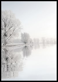 Photograph of frost-covered trees by a mirror-like lake-6