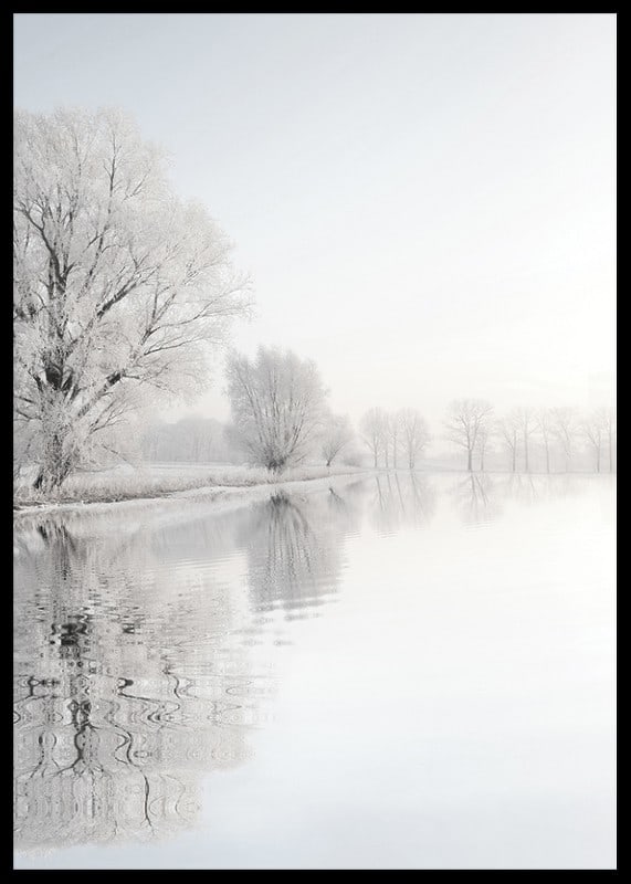 Photograph of frost-covered trees by a mirror-like lake-12