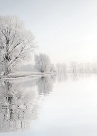 Photograph of frost-covered trees by a mirror-like lake-7