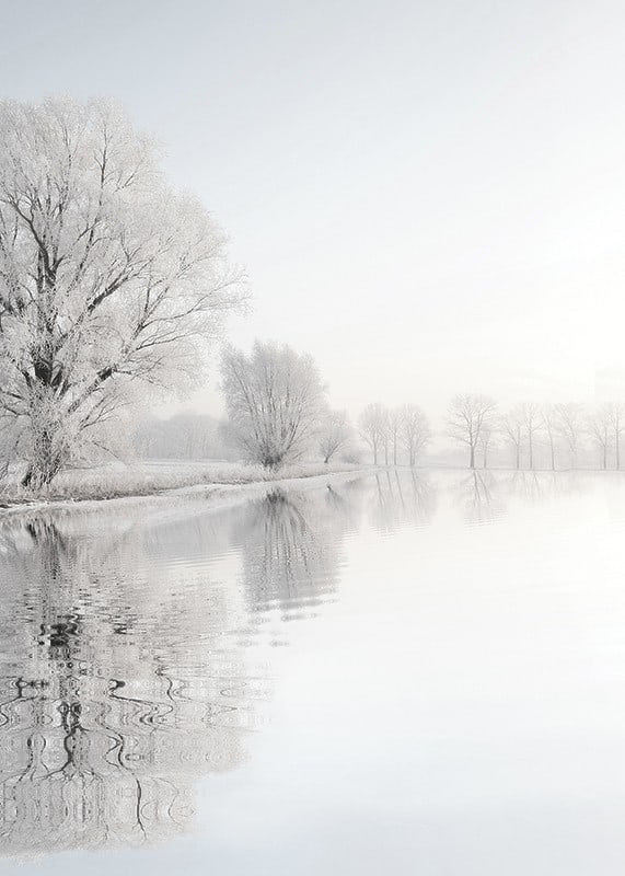 Photograph of frost-covered trees by a mirror-like lake-12