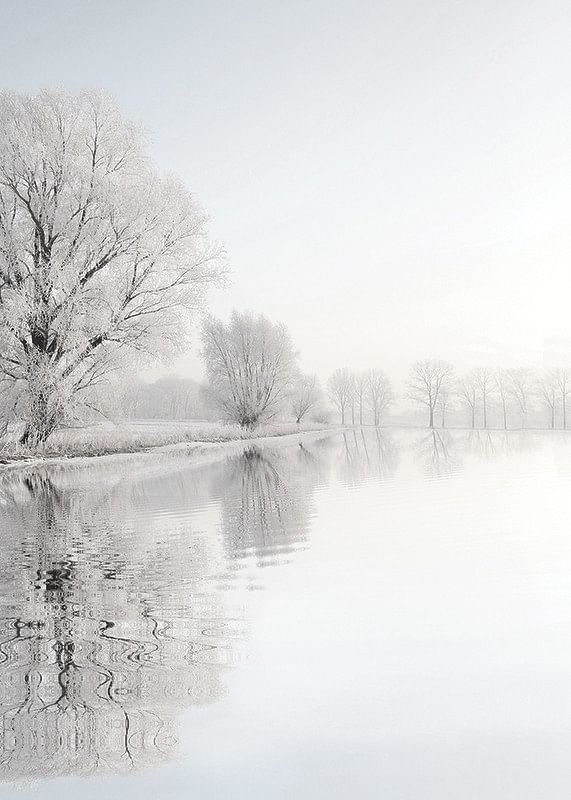 Frosty Winter-12