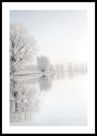 Photograph of frost-covered trees by a mirror-like lake-0