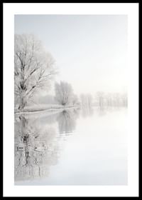 Frosty Winter-0