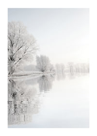 Photograph of frost-covered trees by a mirror-like lake-1