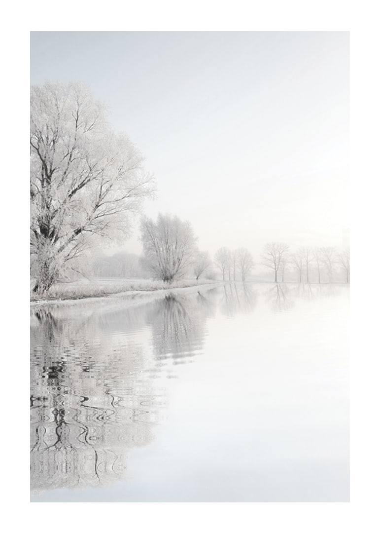 Photograph of frost-covered trees by a mirror-like lake-12
