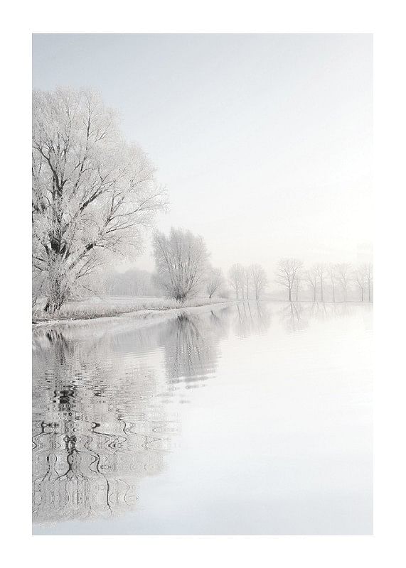 Plagát Frosty Winter