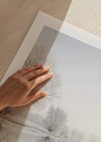 Photograph of frost-covered trees by a mirror-like lake-9