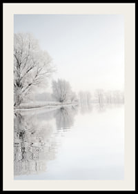 Photograph of frost-covered trees by a mirror-like lake-2