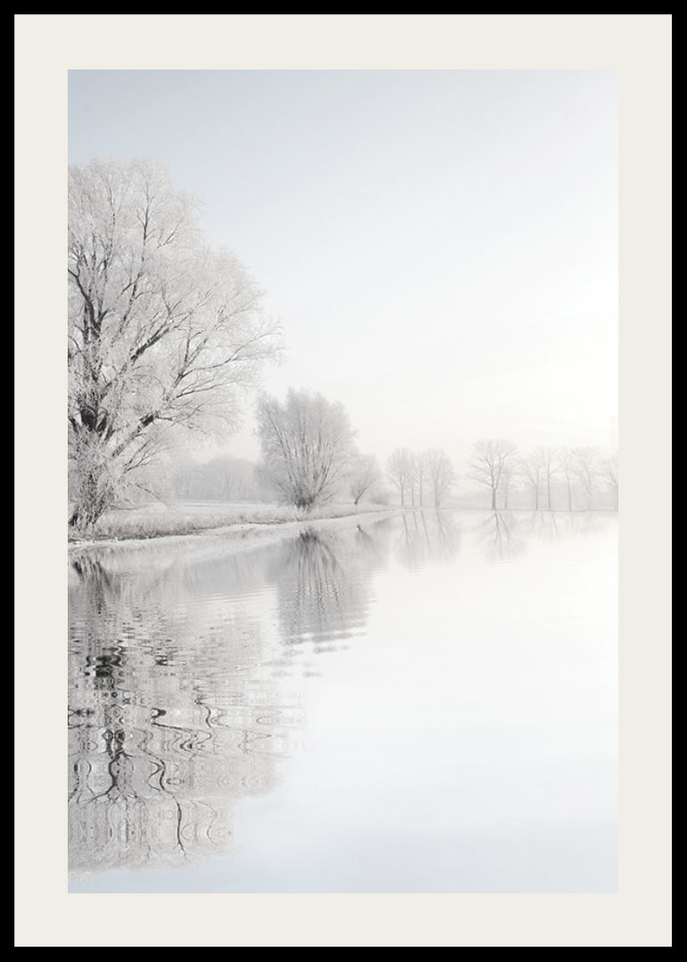 Photograph of frost-covered trees by a mirror-like lake-12