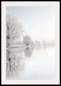 Fotografia di alberi ricoperti di brina in riva a un lago a specchio-2