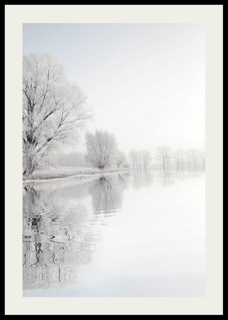 Fotografia di alberi ricoperti di brina in riva a un lago a specchio-12