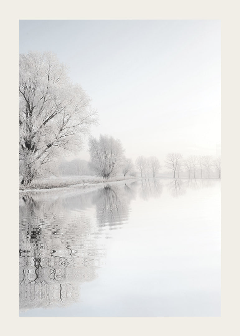 Photograph of frost-covered trees by a mirror-like lake-12