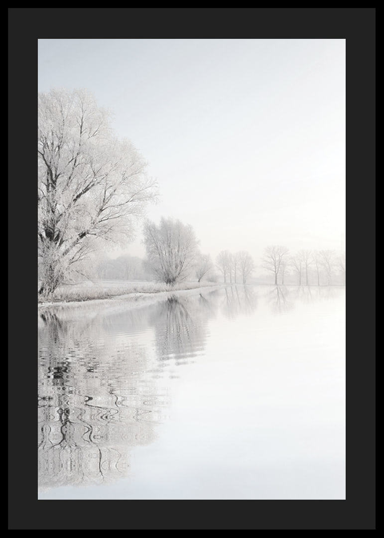 Photograph of frost-covered trees by a mirror-like lake-12