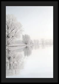 Fotografia di alberi ricoperti di brina in riva a un lago a specchio-4
