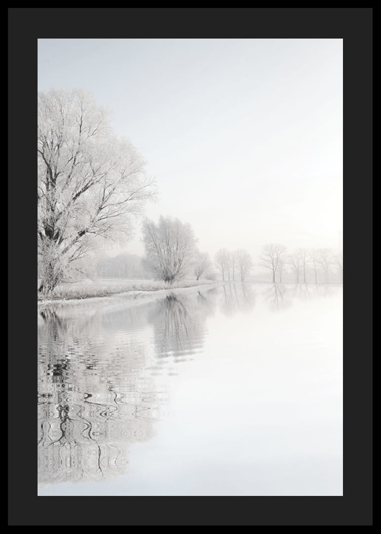 Fotografia di alberi ricoperti di brina in riva a un lago a specchio-12
