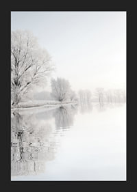 Photograph of frost-covered trees by a mirror-like lake-5