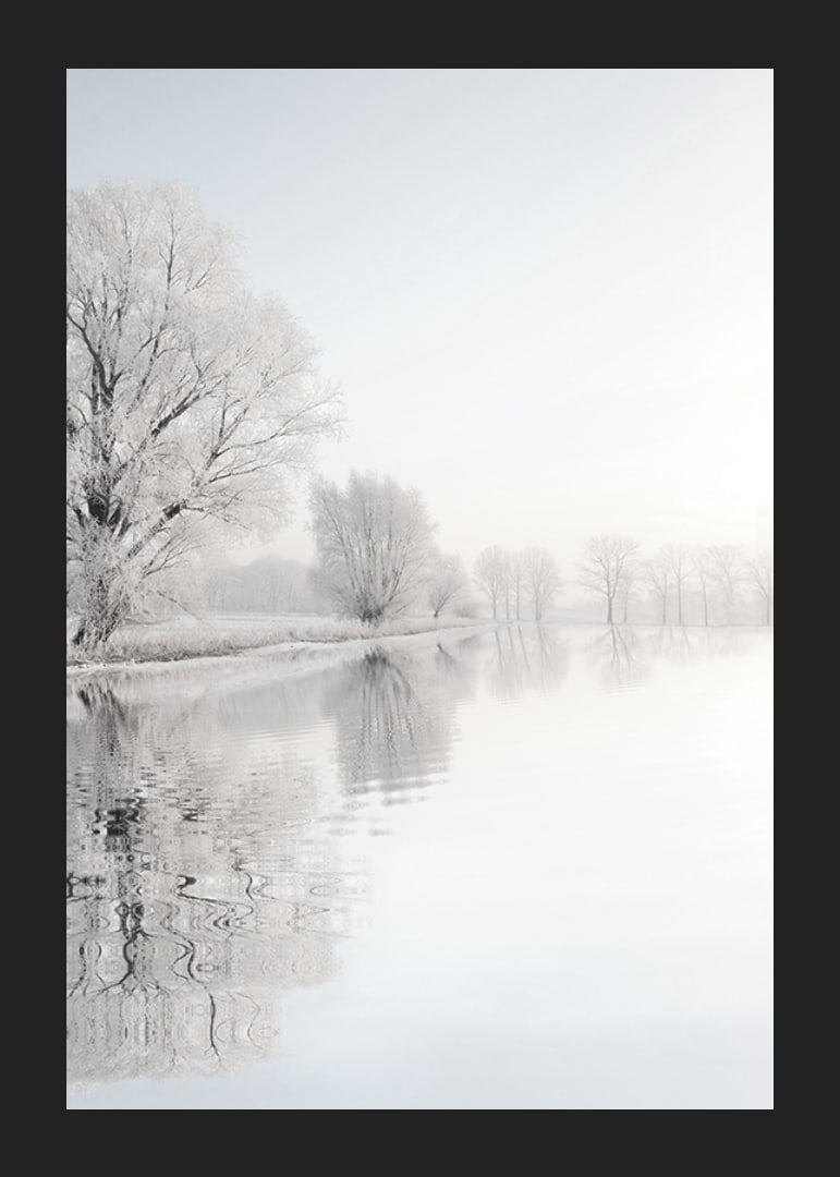 Photograph of frost-covered trees by a mirror-like lake-12