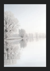 Fotografia di alberi ricoperti di brina in riva a un lago a specchio-5