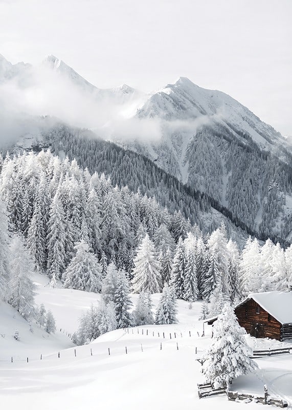 Chalet alpin enneigé avec sapins et montagnes dans un paysage hivernal-12