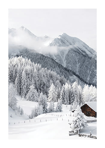 Poster Winter In The Alps