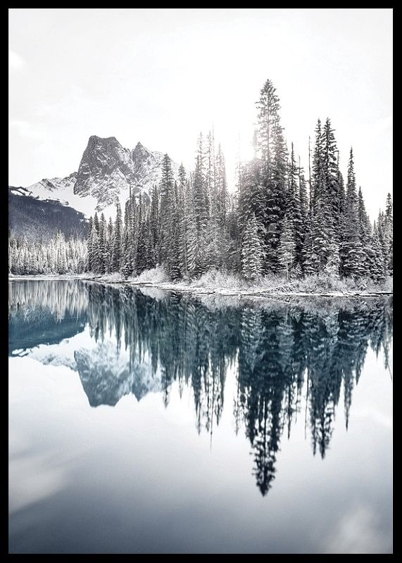 Reflections In Emerald Lake-12
