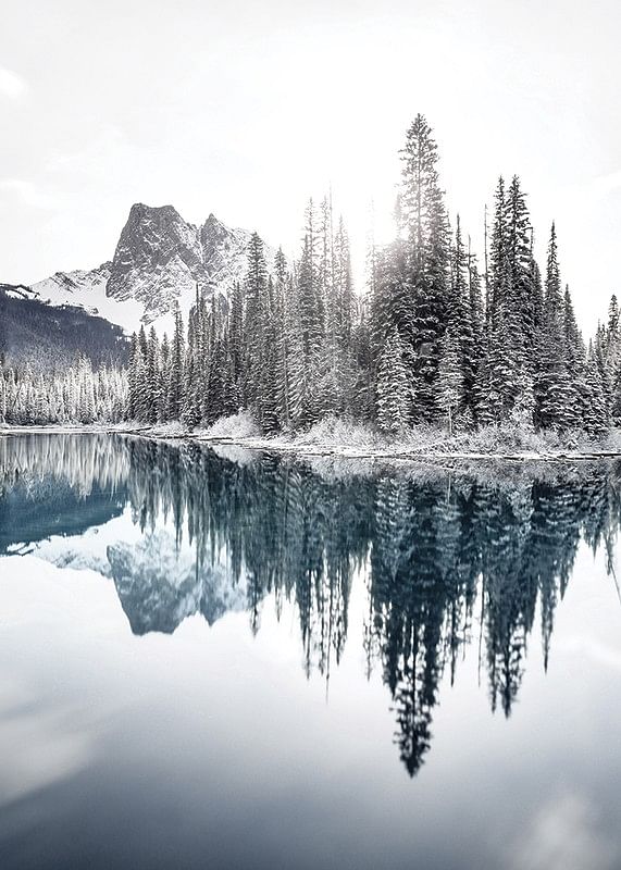 Reflections In Emerald Lake-12