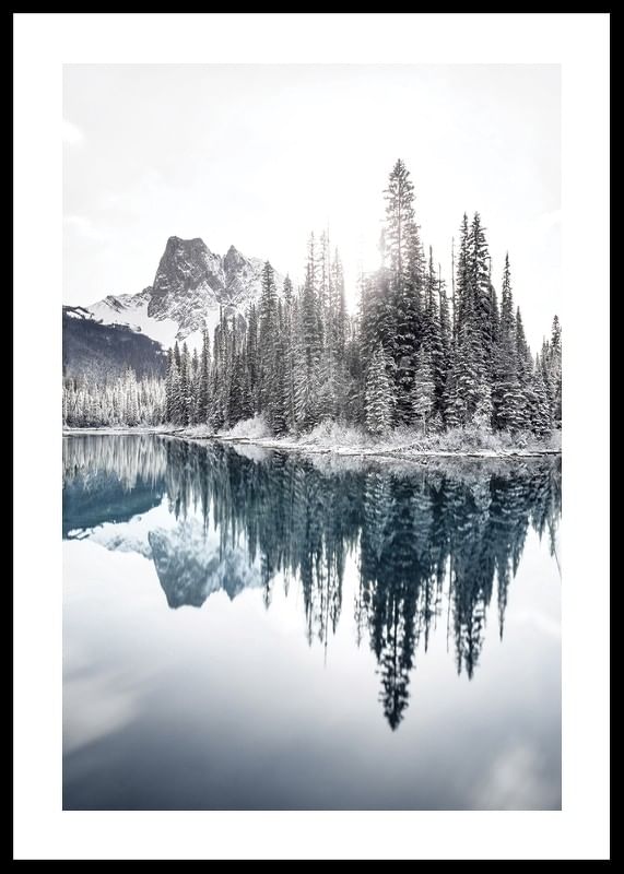 Reflections In Emerald Lake-12