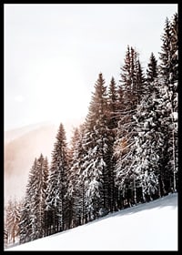 Photographic winter landscape with snow-covered fir trees in backlight-6