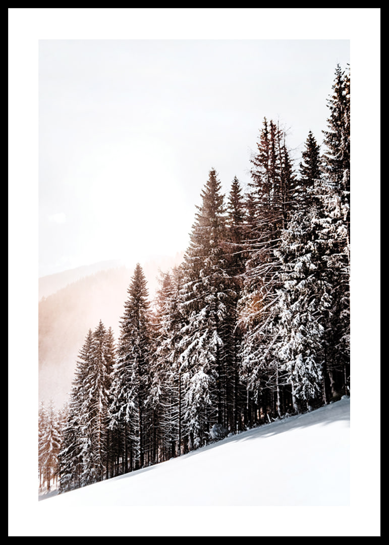 Photographic winter landscape with snow-covered fir trees in backlight-12