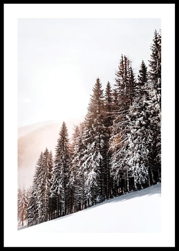 Póster Snow Covered Trees