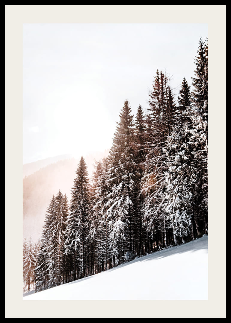 Fotografische Winterlandschaft mit schneebedeckten Tannen im Gegenlicht-12