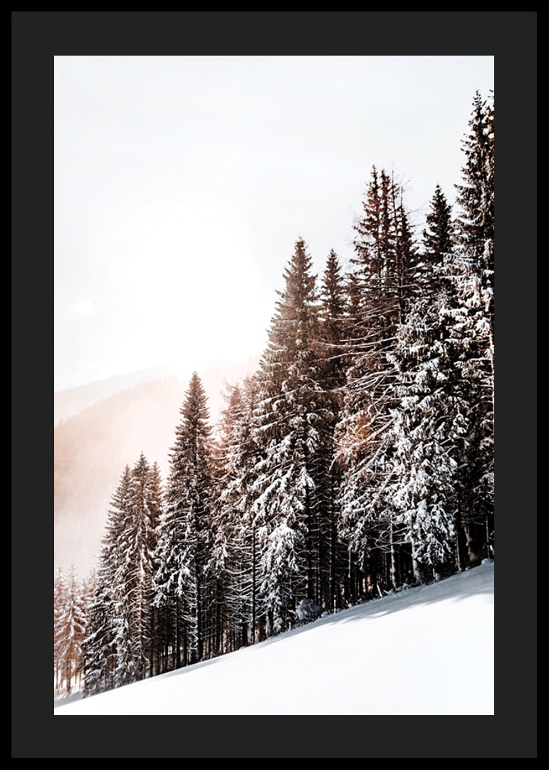 Photographic winter landscape with snow-covered fir trees in backlight-12