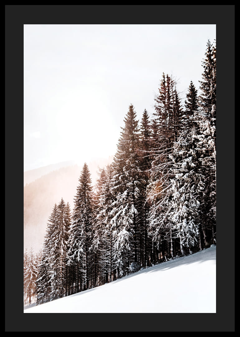Fotografische Winterlandschaft mit schneebedeckten Tannen im Gegenlicht-12