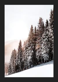 Fotografische Winterlandschaft mit schneebedeckten Tannen im Gegenlicht-5