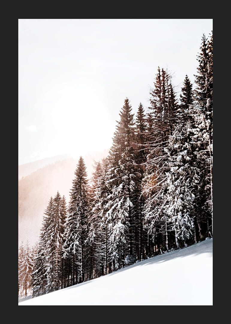 Fotografische Winterlandschaft mit schneebedeckten Tannen im Gegenlicht-12
