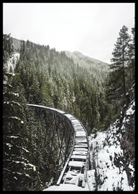Photograph of snow-covered railway bridge over spruce forest in winter landscape-6