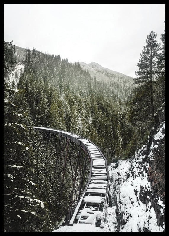 Photograph of snow-covered railway bridge over spruce forest in winter landscape-12