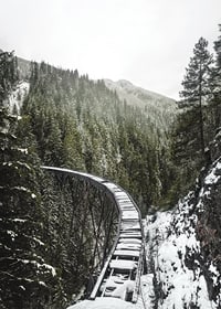 Photograph of snow-covered railway bridge over spruce forest in winter landscape-7