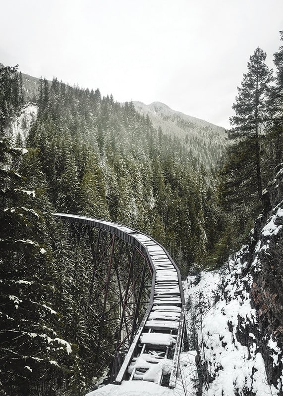 Photograph of snow-covered railway bridge over spruce forest in winter landscape-12