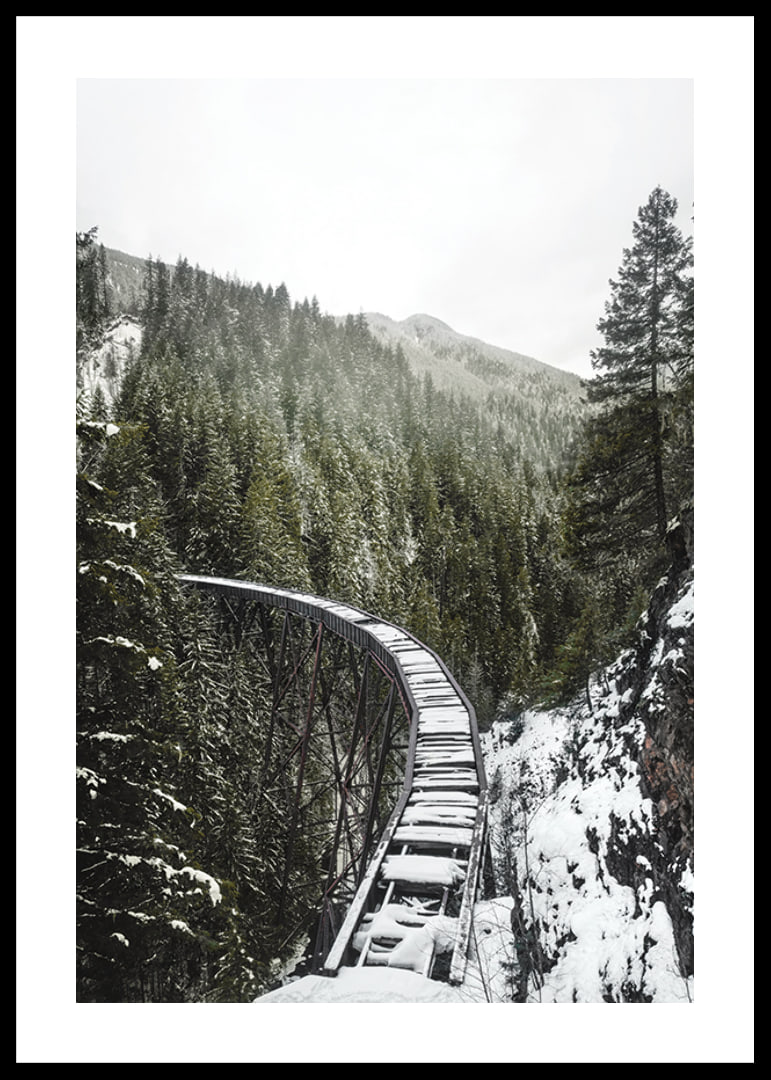 Photograph of snow-covered railway bridge over spruce forest in winter landscape-12