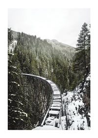 Photograph of snow-covered railway bridge over spruce forest in winter landscape-1