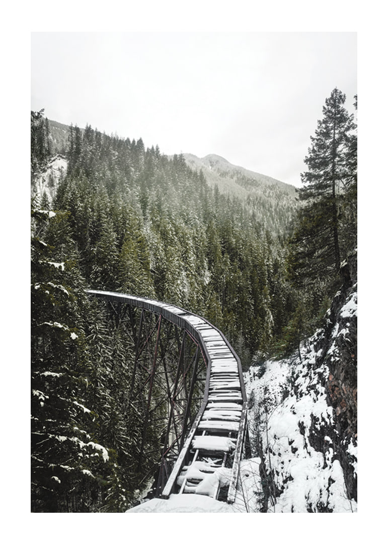 Photograph of snow-covered railway bridge over spruce forest in winter landscape-12