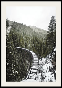 Photograph of snow-covered railway bridge over spruce forest in winter landscape-2