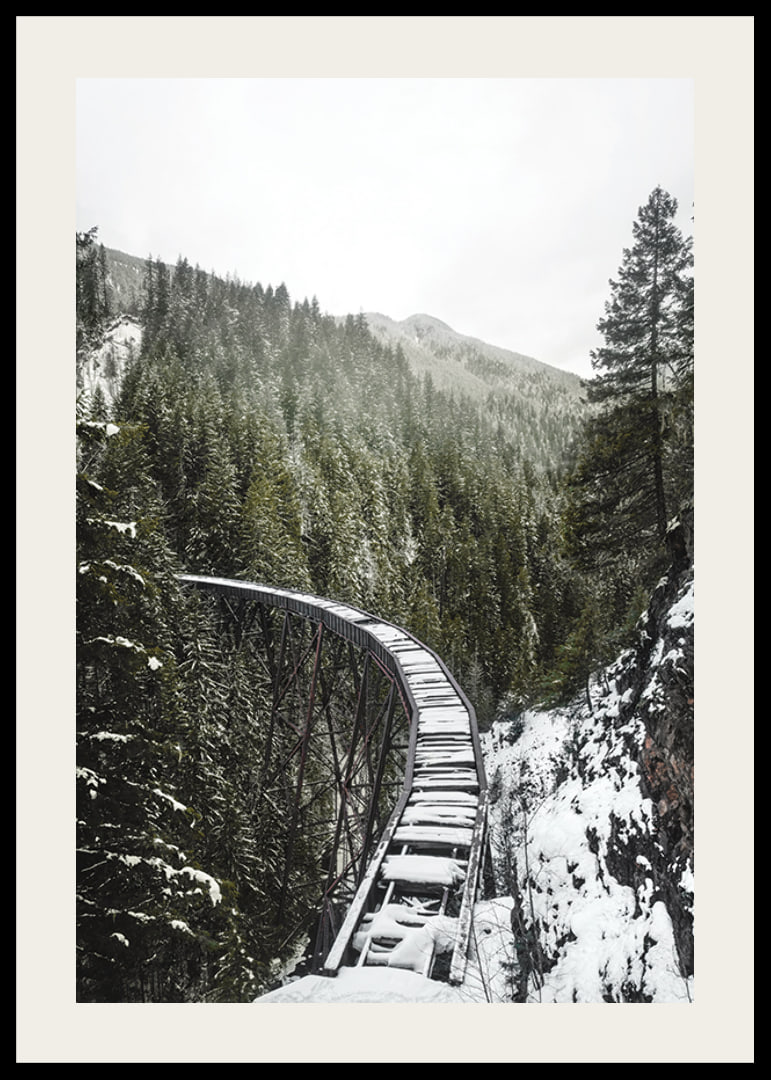 Photograph of snow-covered railway bridge over spruce forest in winter landscape-12