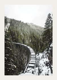 Photograph of snow-covered railway bridge over spruce forest in winter landscape-3