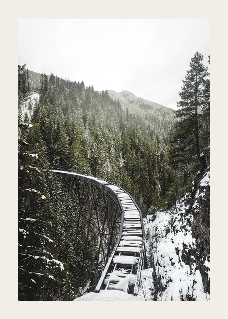 Photograph of snow-covered railway bridge over spruce forest in winter landscape-12