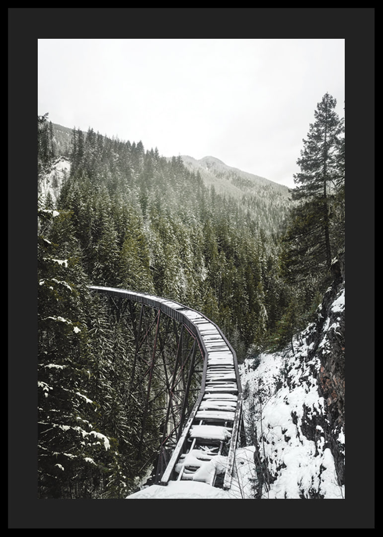 Photograph of snow-covered railway bridge over spruce forest in winter landscape-12