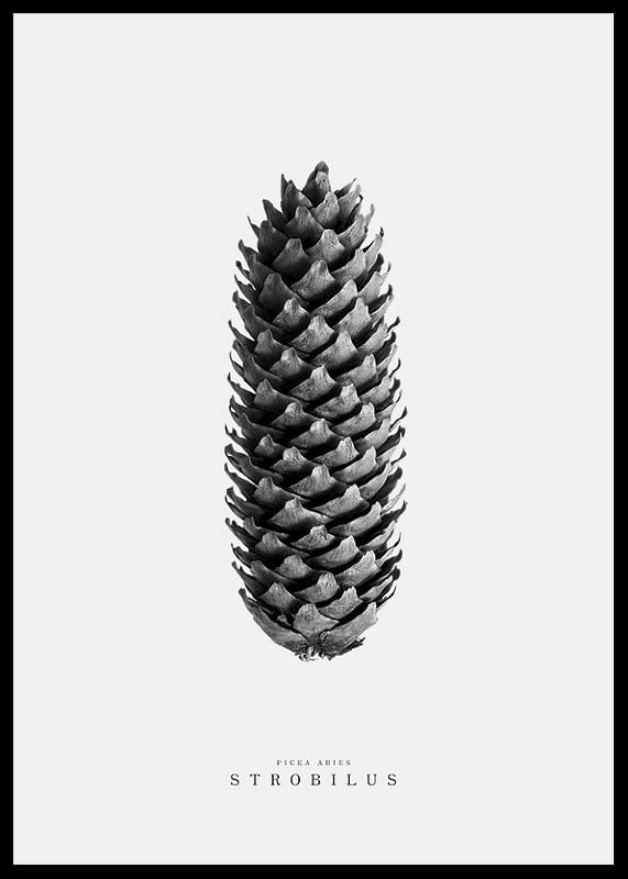 Winter Botany No3-12