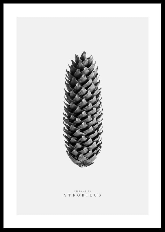 Winter Botany No3-12